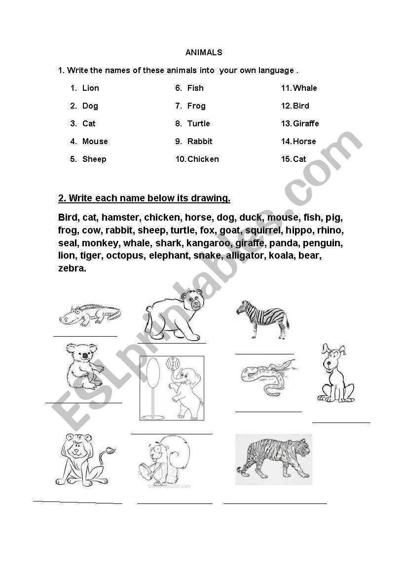 Animalsnames and descrptions worksheet