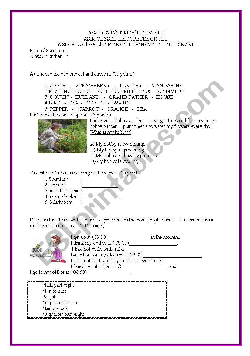 test for elementary students worksheet