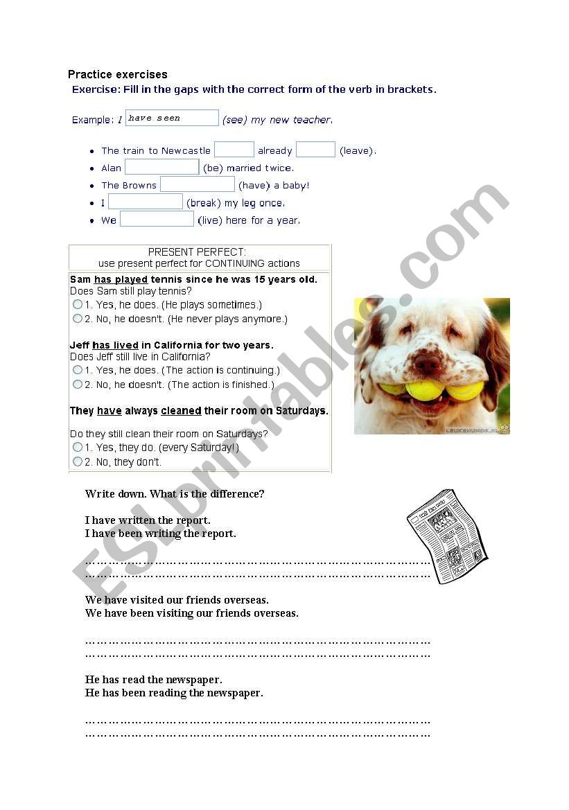 Present perfect worksheet