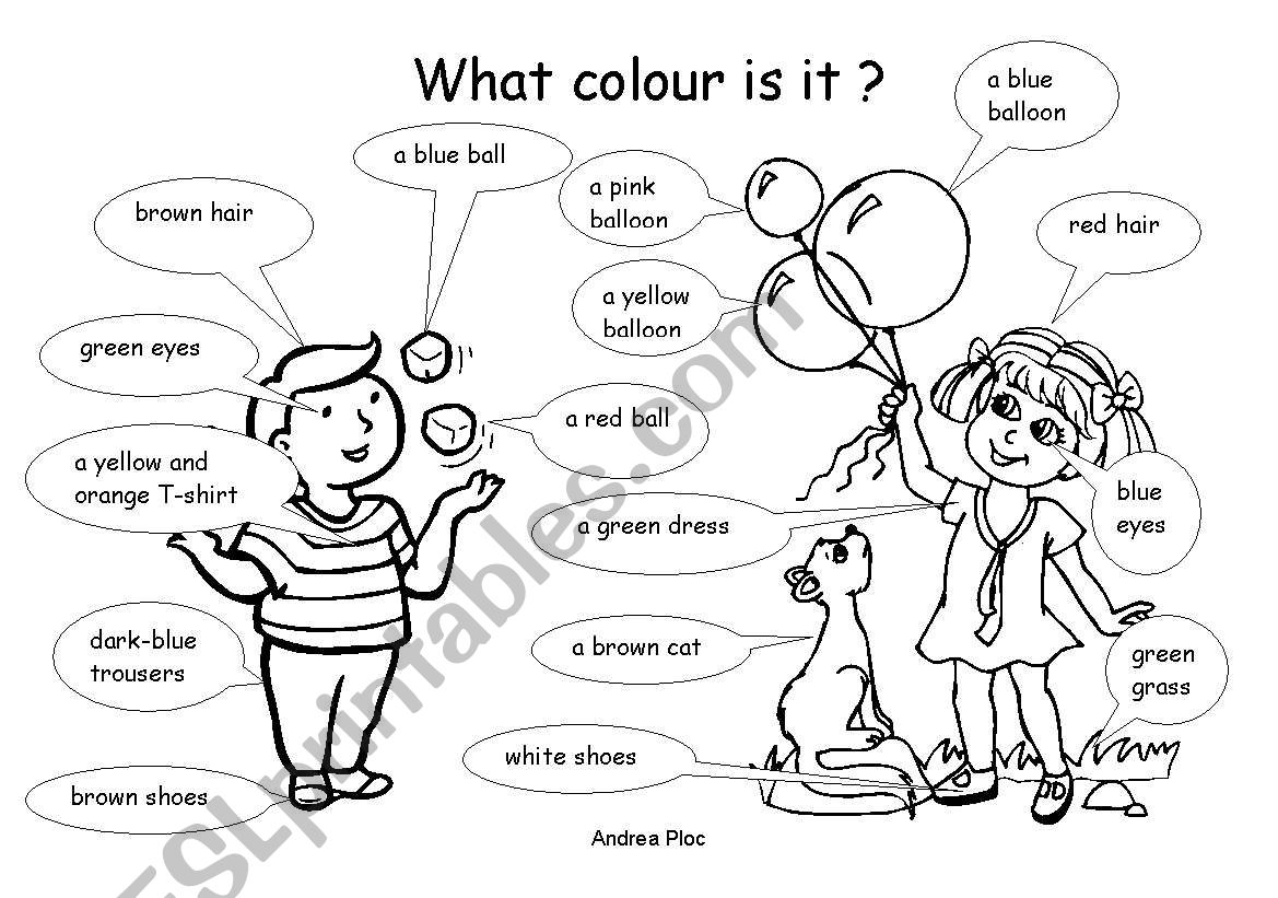 What colour is it ? worksheet