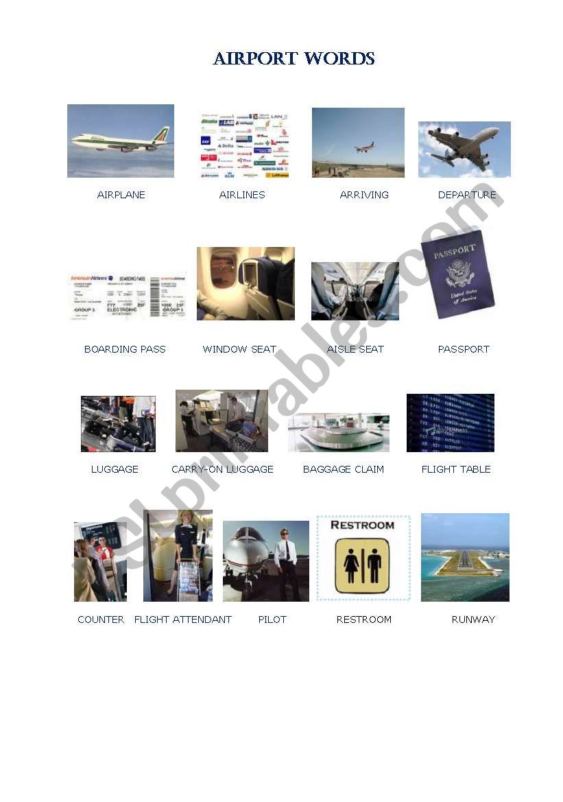 AIRPORT PICTURY DICTIONARY AND FIELD TEST