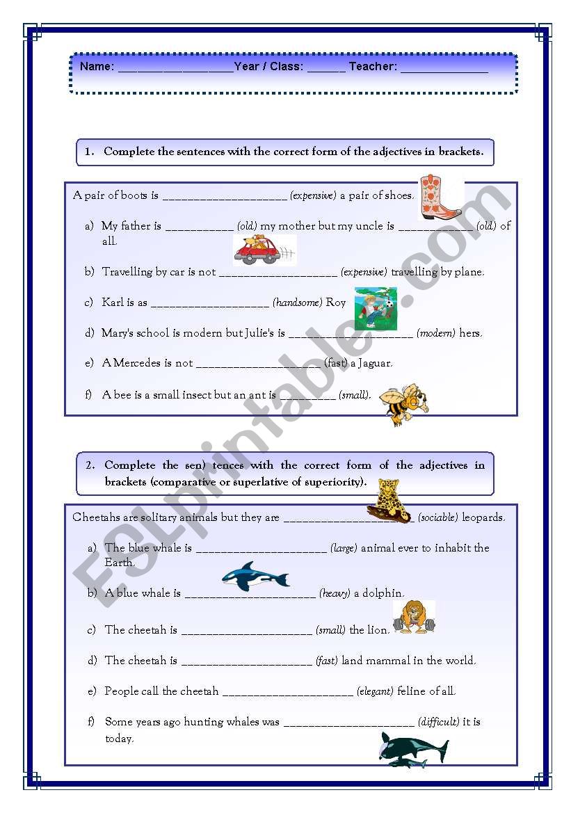 The degree of Adjectives worksheet