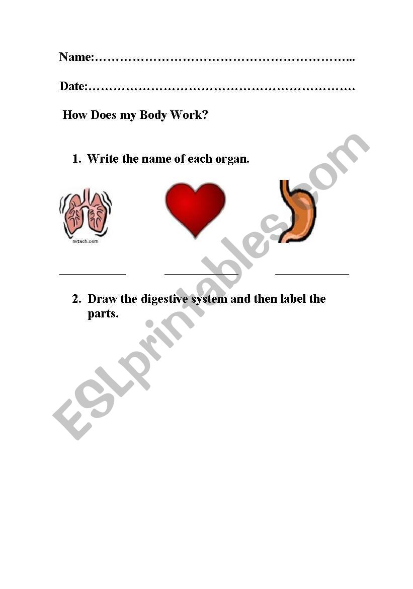 How Does my Body Work? worksheet