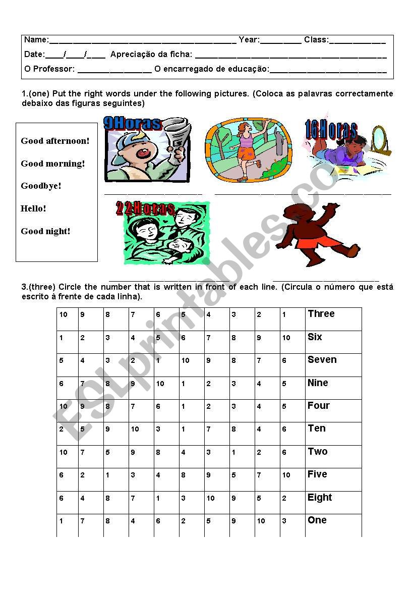 Numbers, colors and greetings worksheet