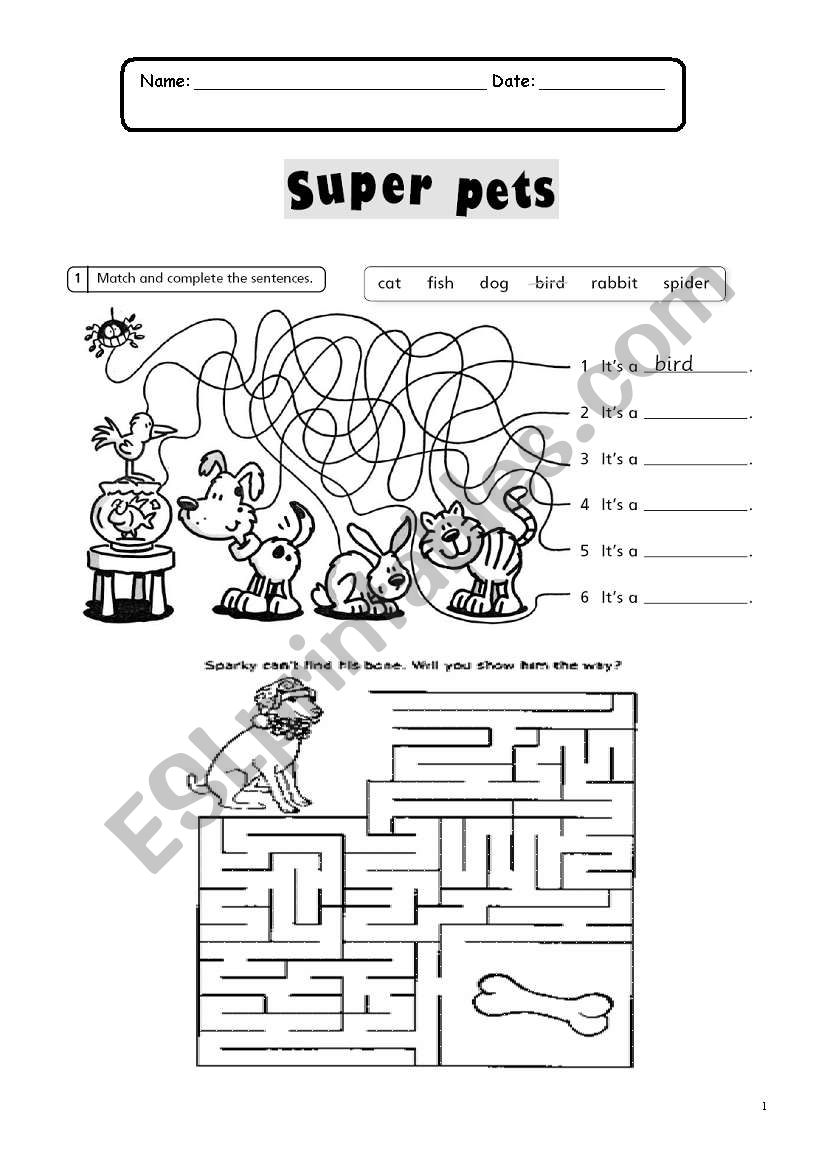 Super Pets worksheet