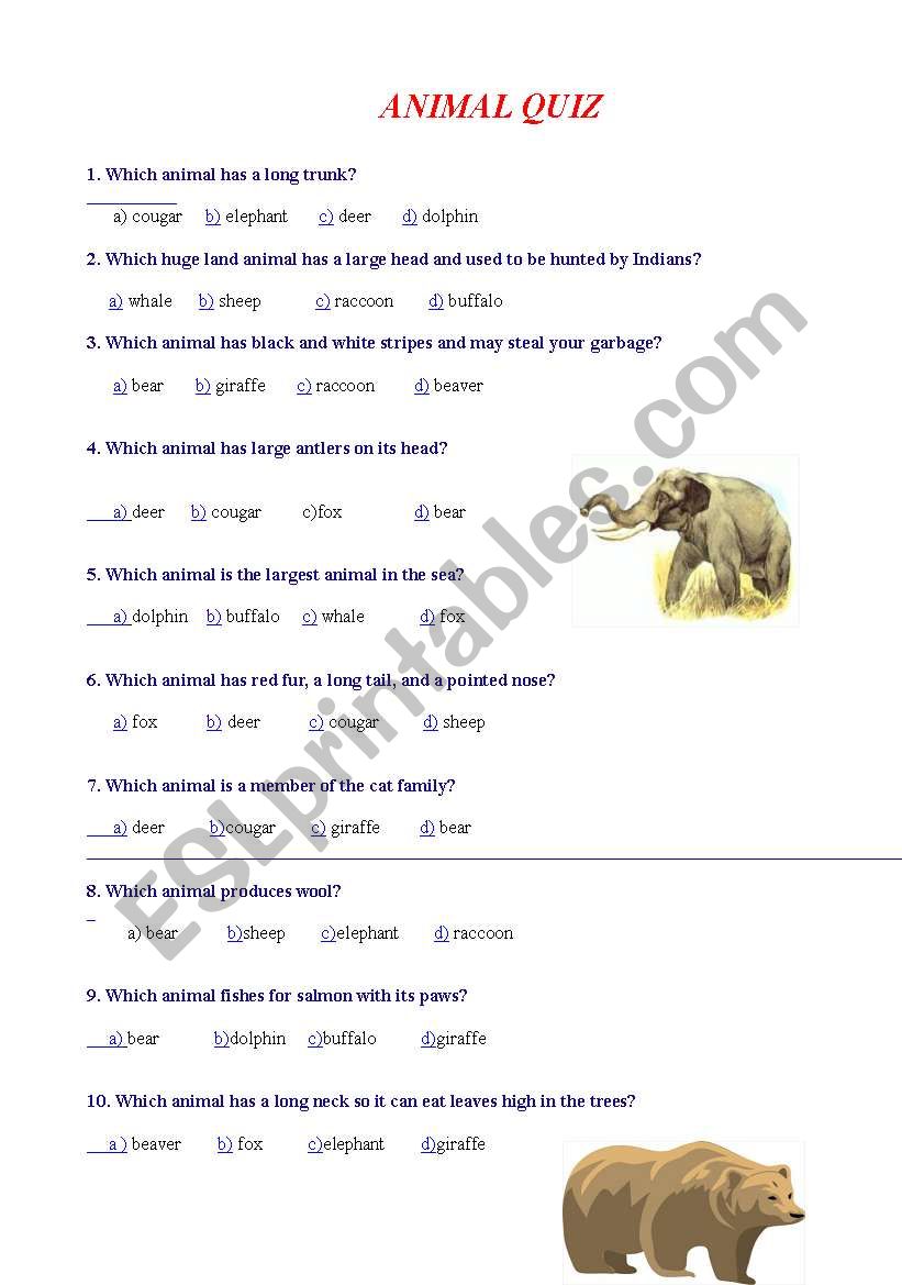 Animal Quiz worksheet