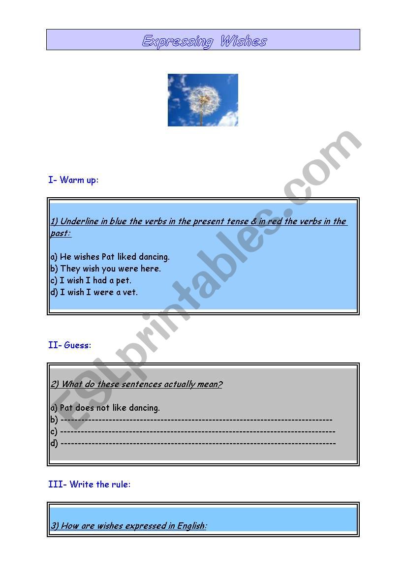 Expressing wishes worksheet