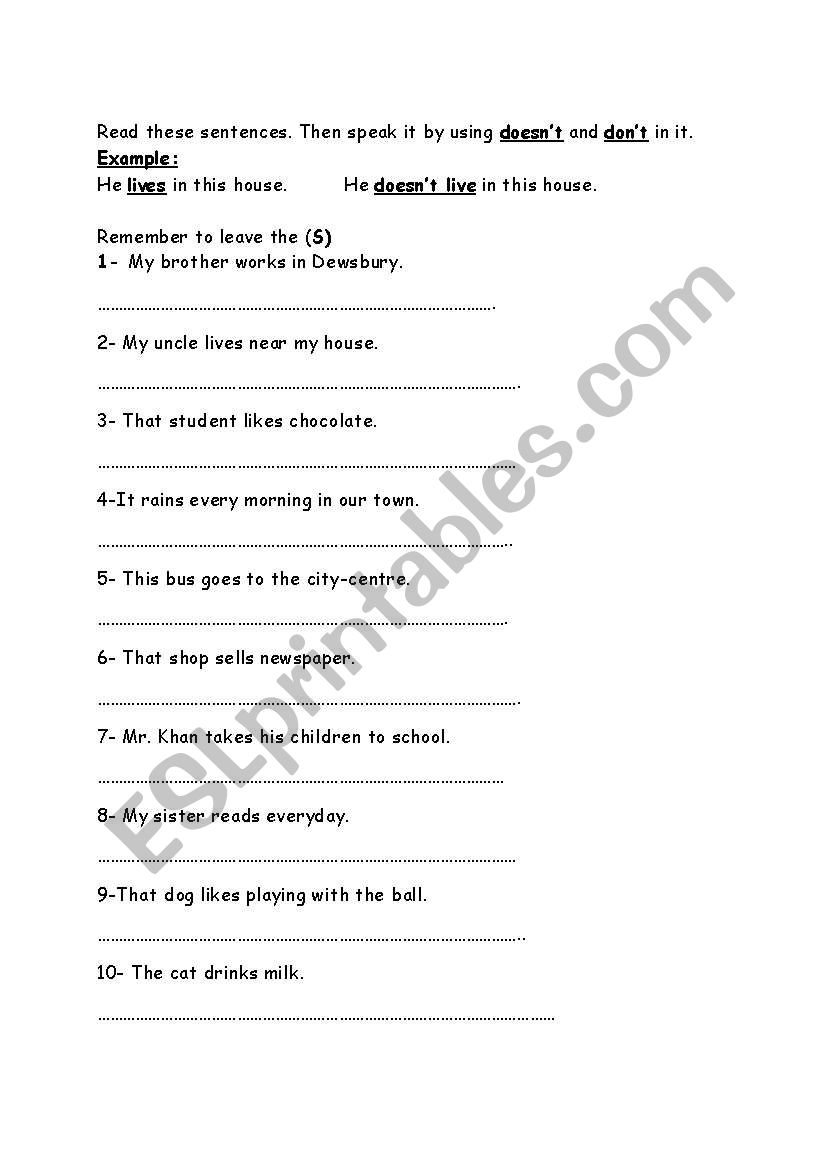 dont and doesnt worksheet