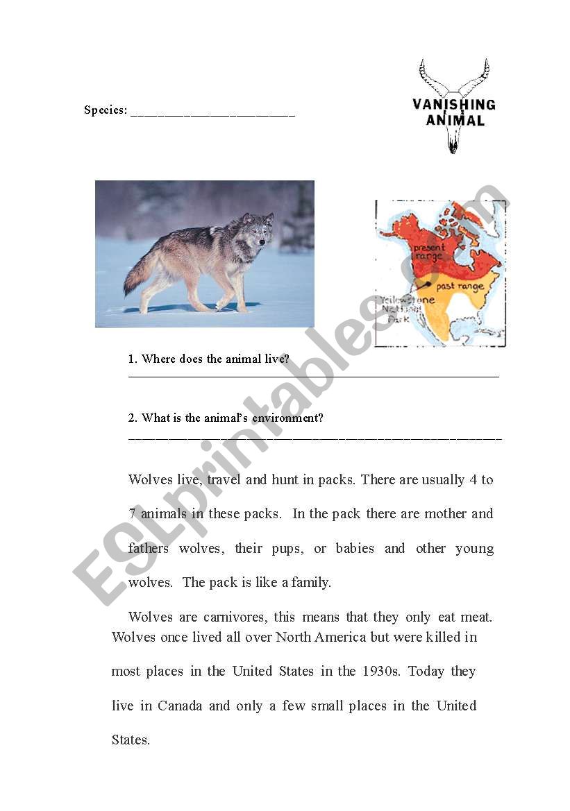 Wolves - Endangered Species worksheet