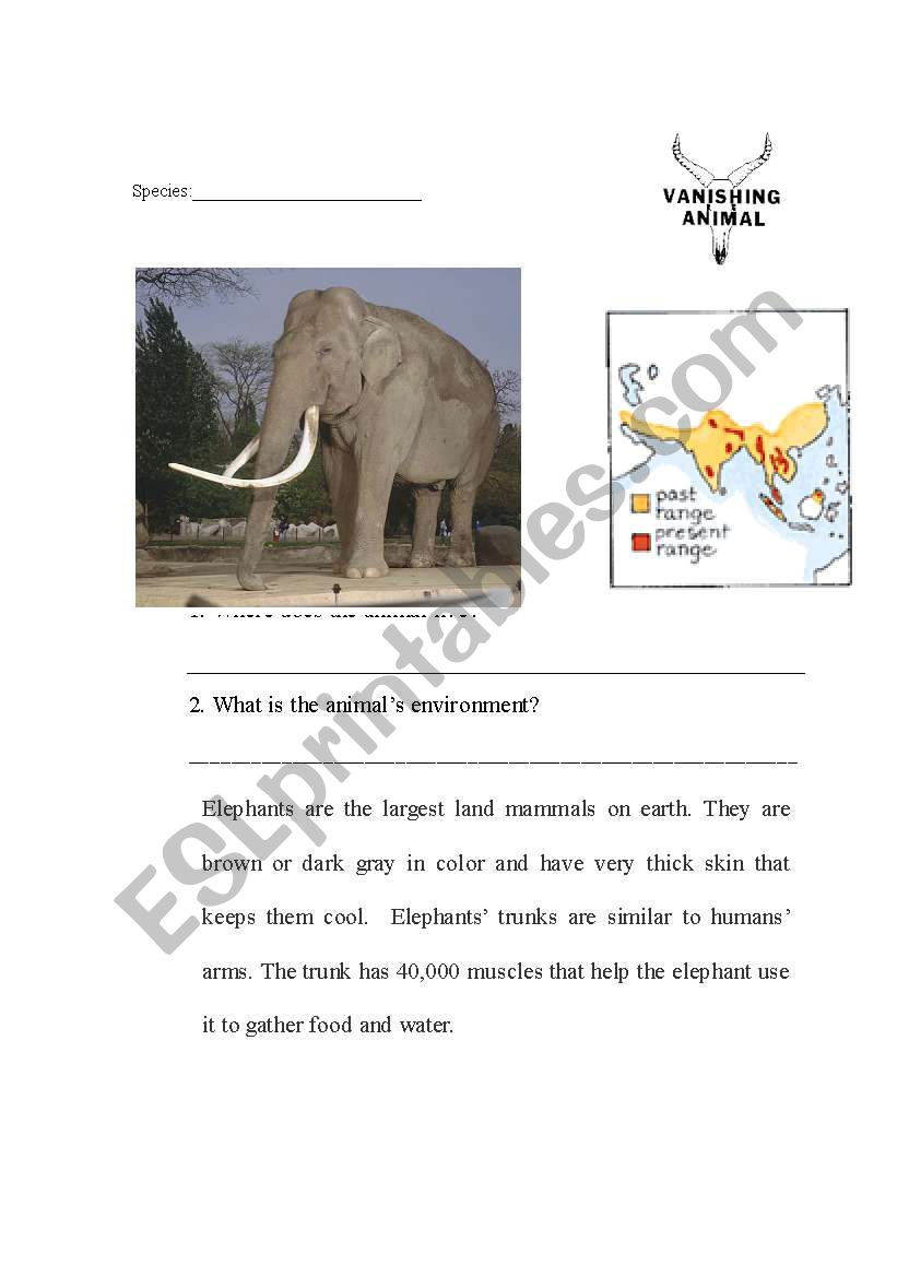 Endangered Asian Elephant part 1
