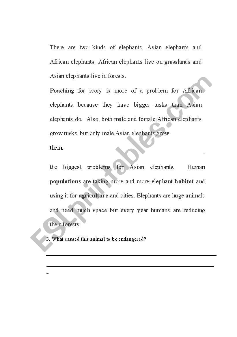 Asian Elephant part 2 worksheet