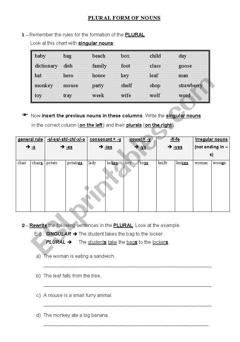 Plural Noun Forms Regular Plurals