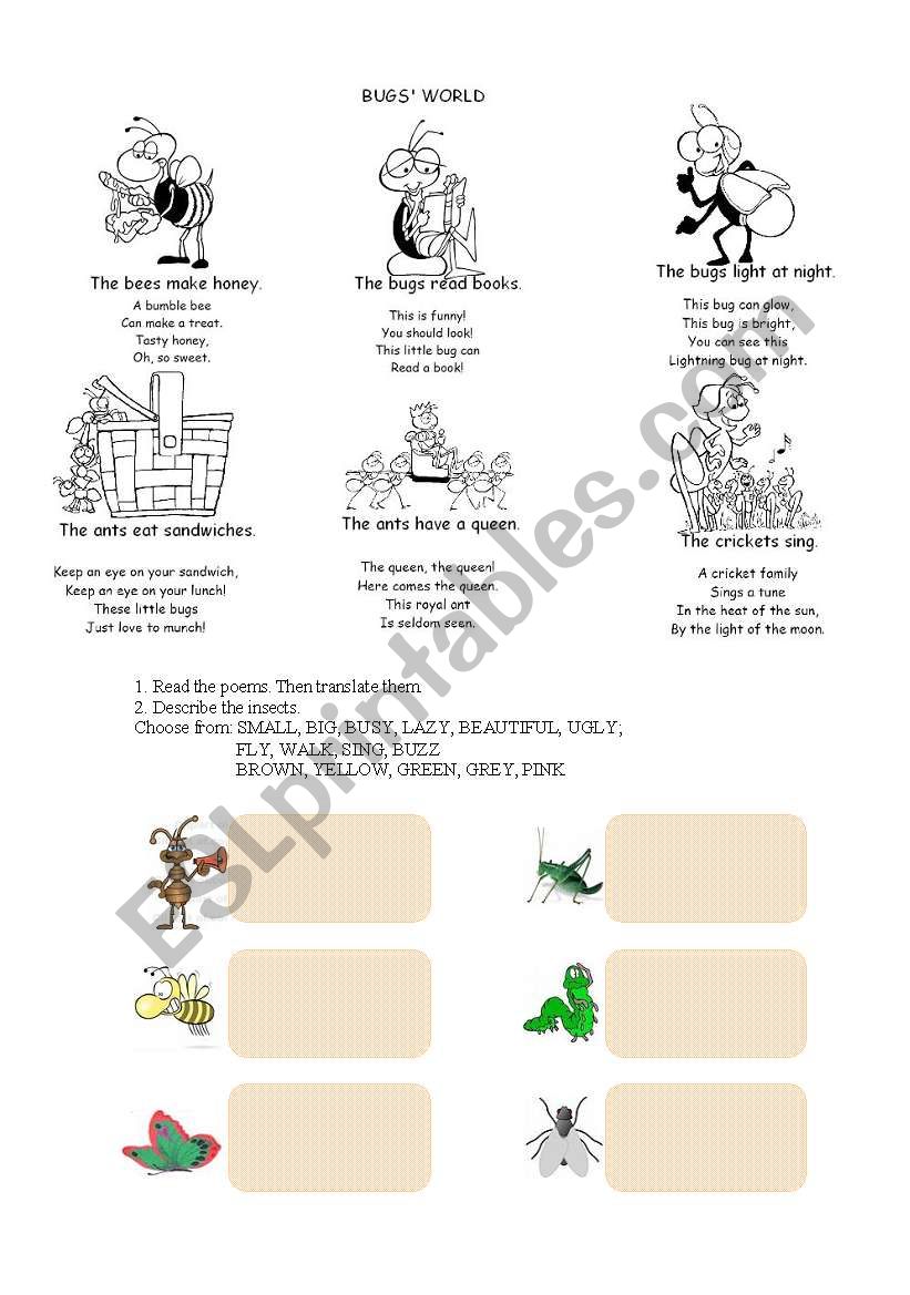 insects worksheet