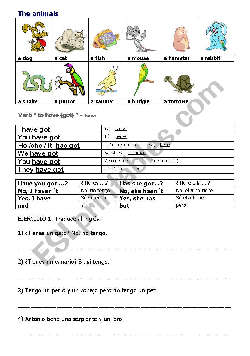 Pets worksheet