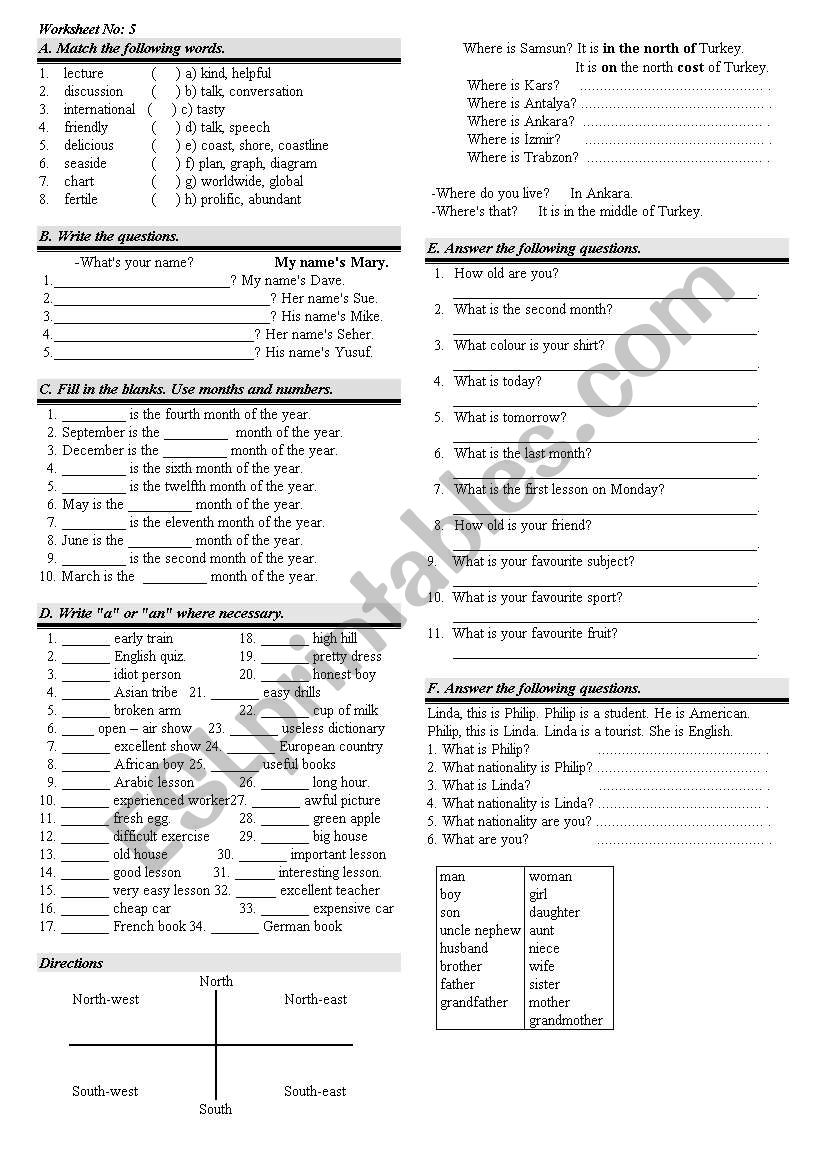 Plurals worksheet