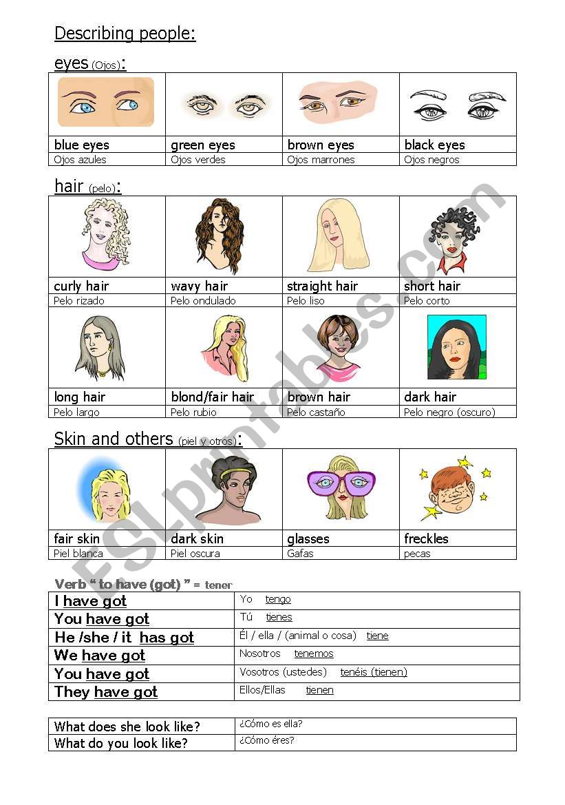 People physical description worksheet