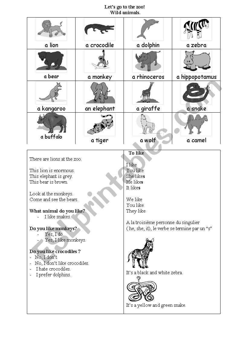 lets go to the zoo worksheet