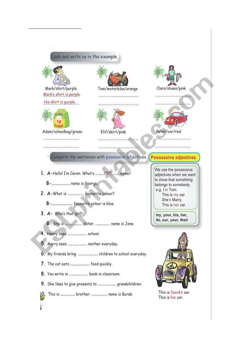 possessive adjectives worksheet