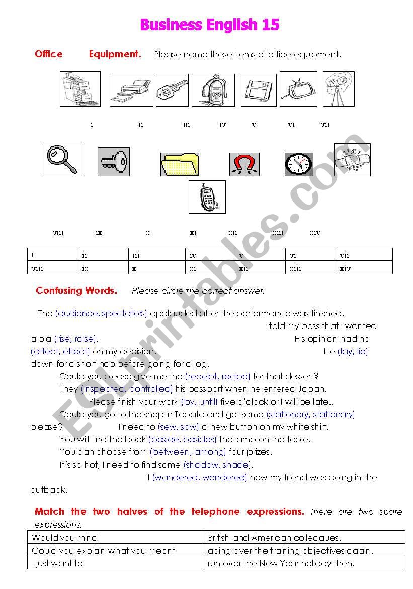 Business English 15 worksheet