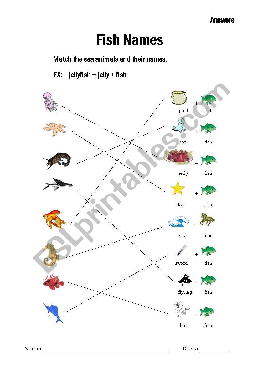 funny fish names - answers worksheet
