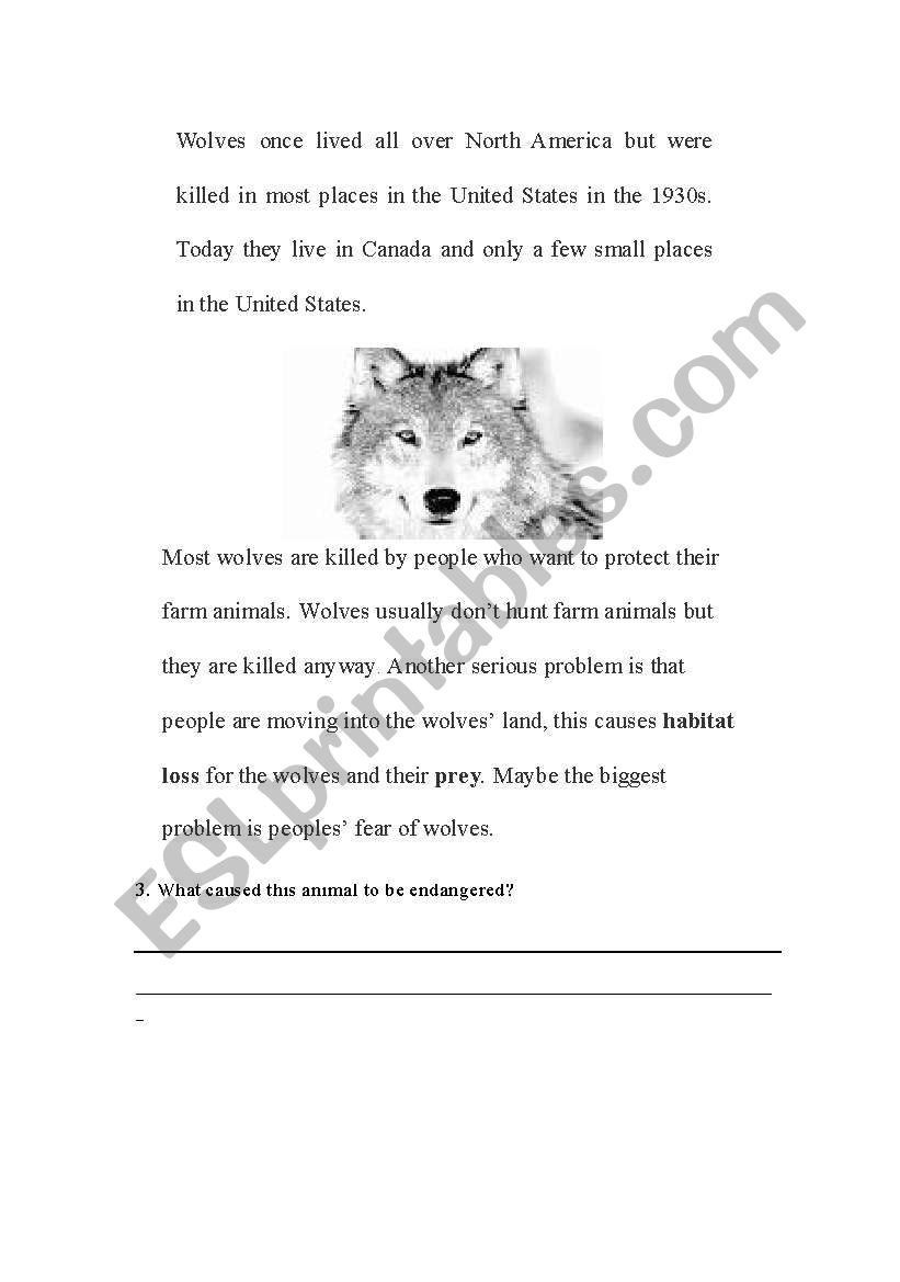 Wolves 2 - Endangered Species worksheet