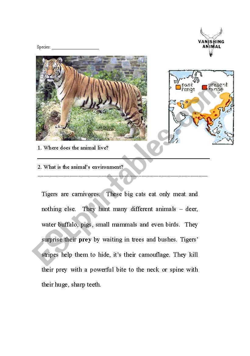 Tigers - Endangered 1 worksheet