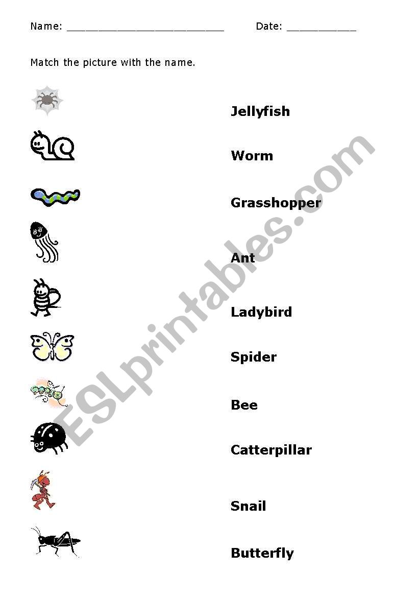 Bugs worksheet