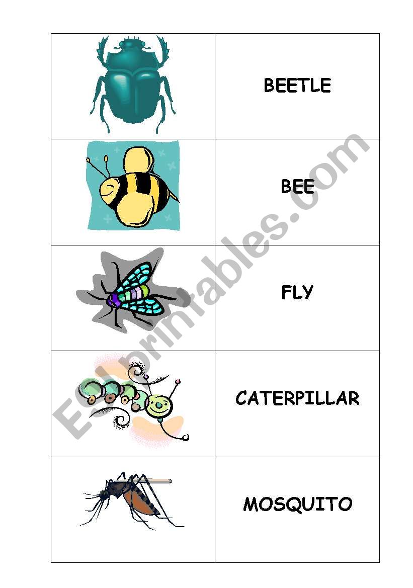 bugs memory worksheet