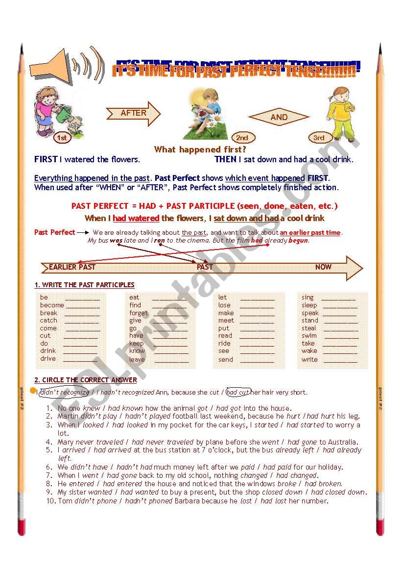 PAST PERFECT EXERCISES worksheet