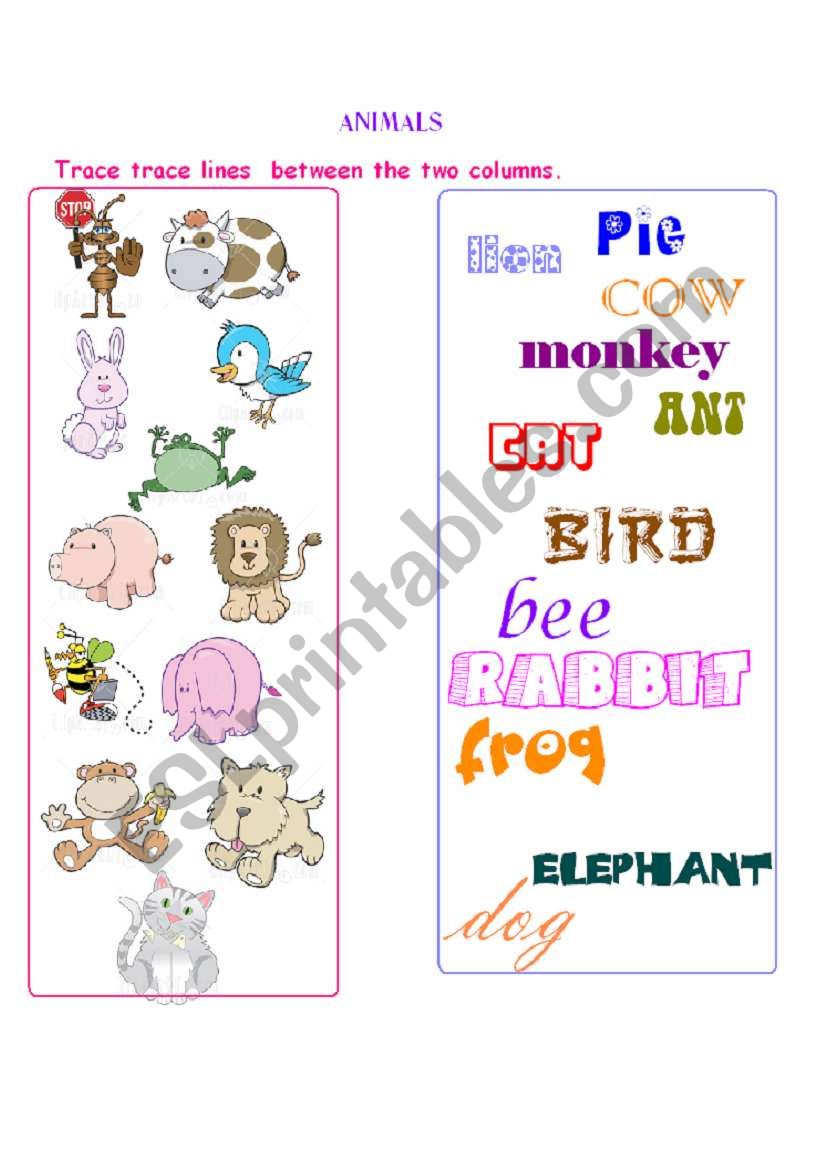 Animals worksheet