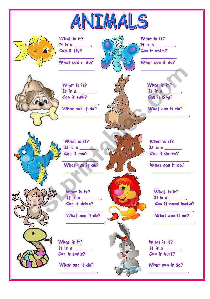 ANIMALS worksheet