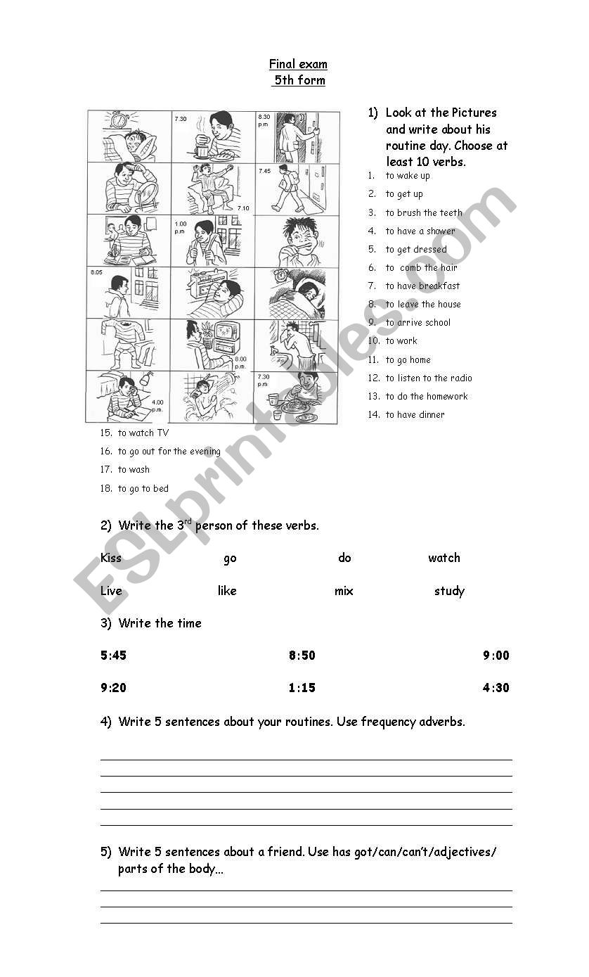 simple present test worksheet