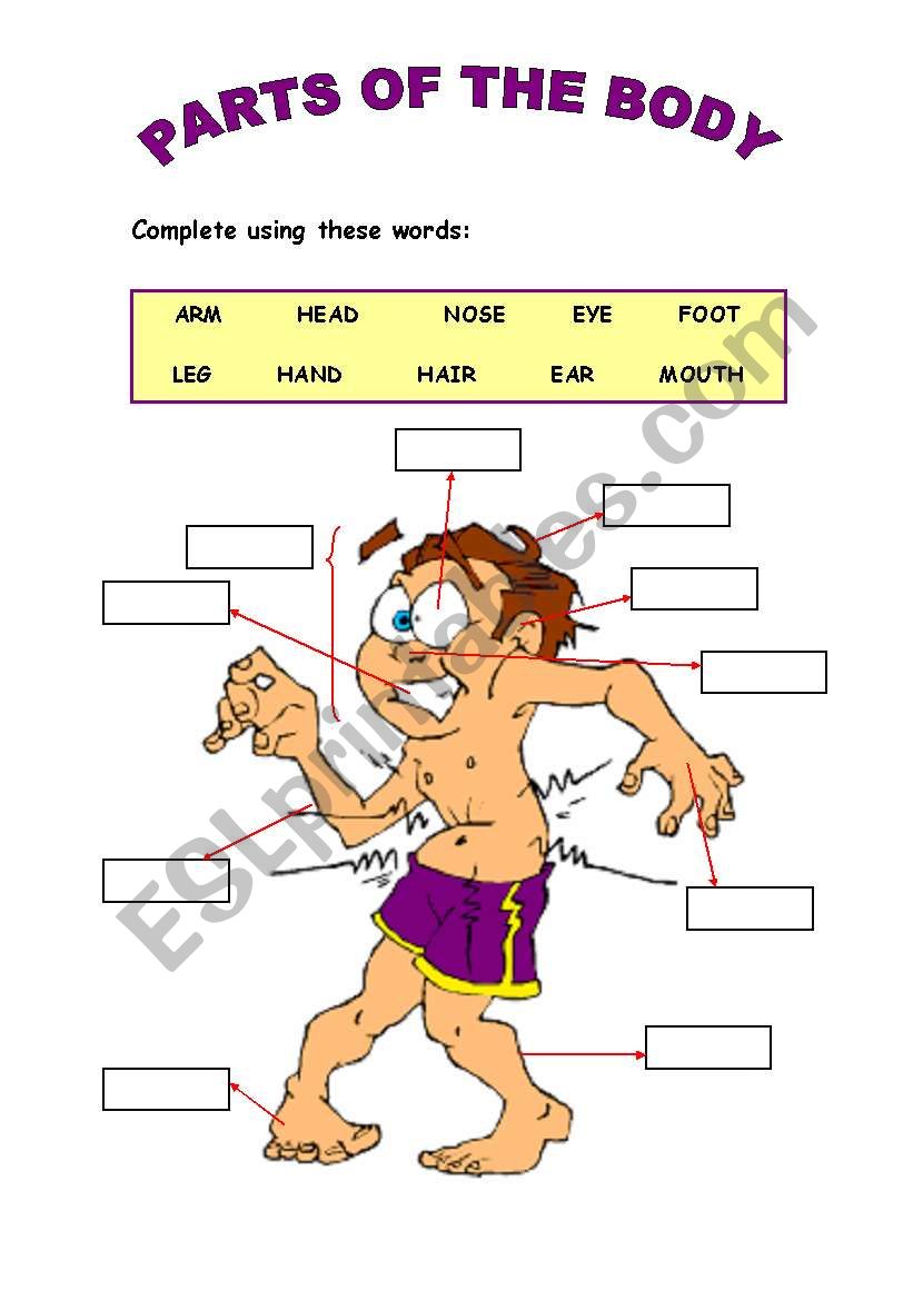 Body parts worksheet