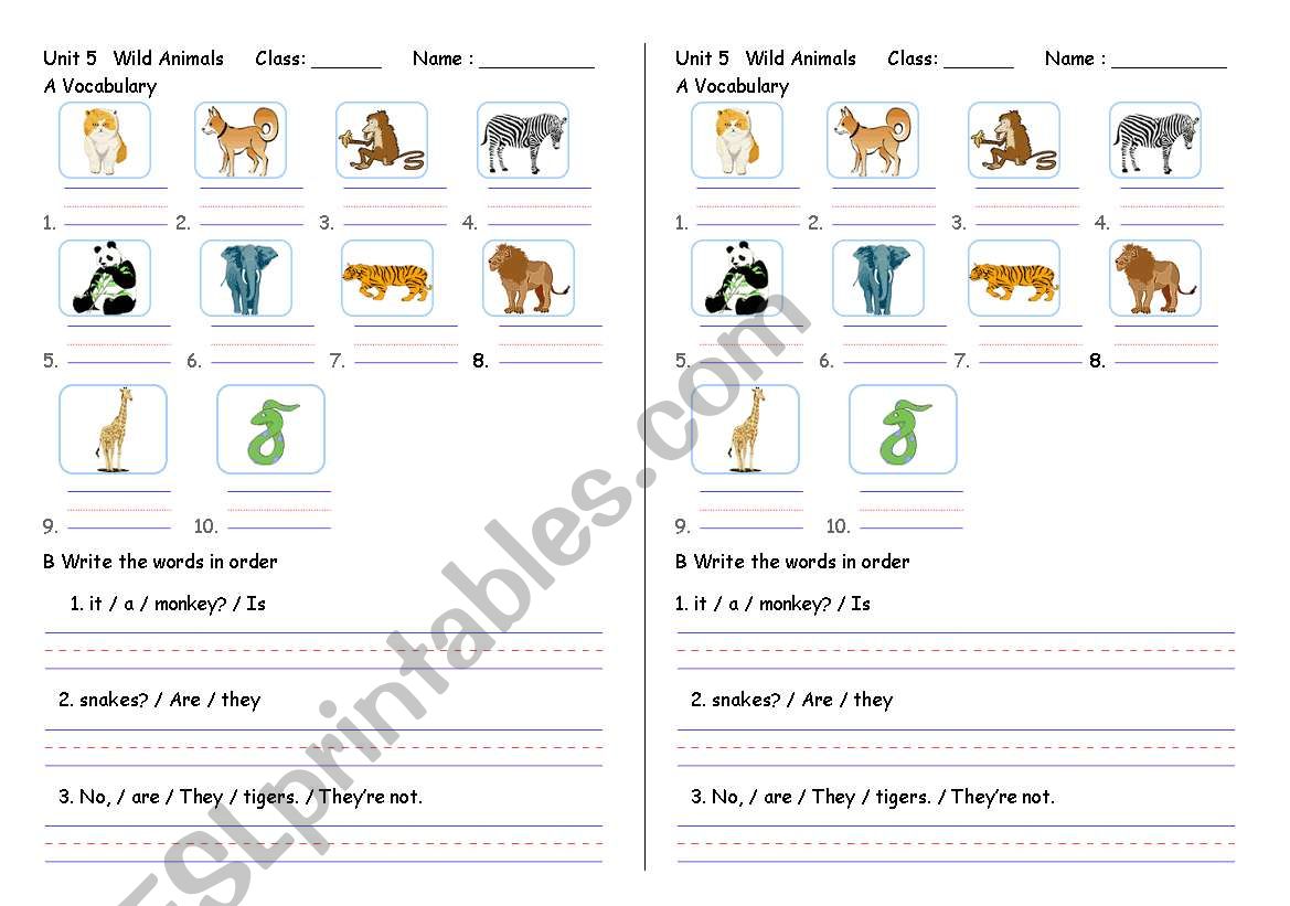 About animal worksheet