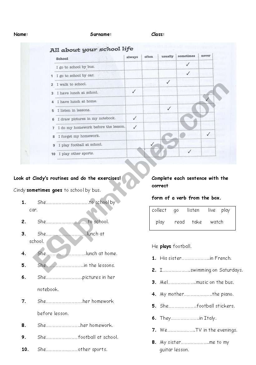 daily routines worksheet