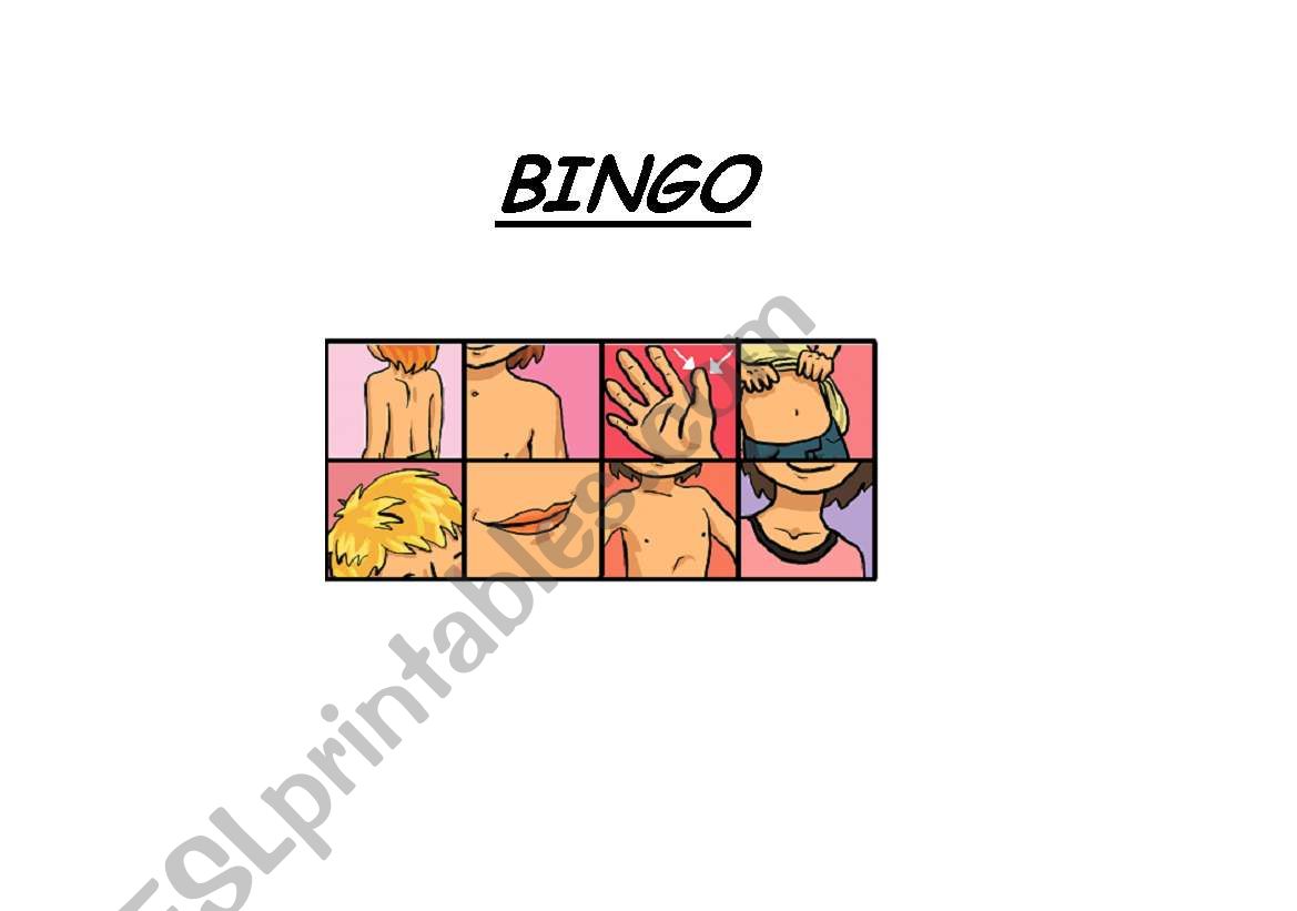 parts of the body bingo worksheet