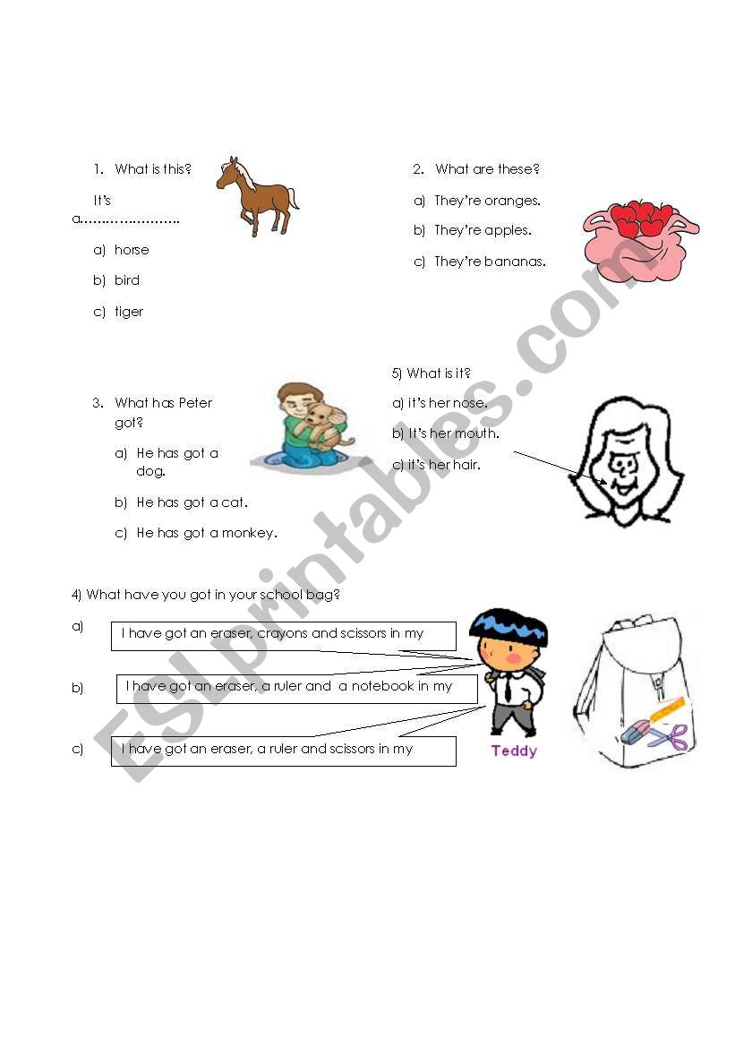 mini test worksheet