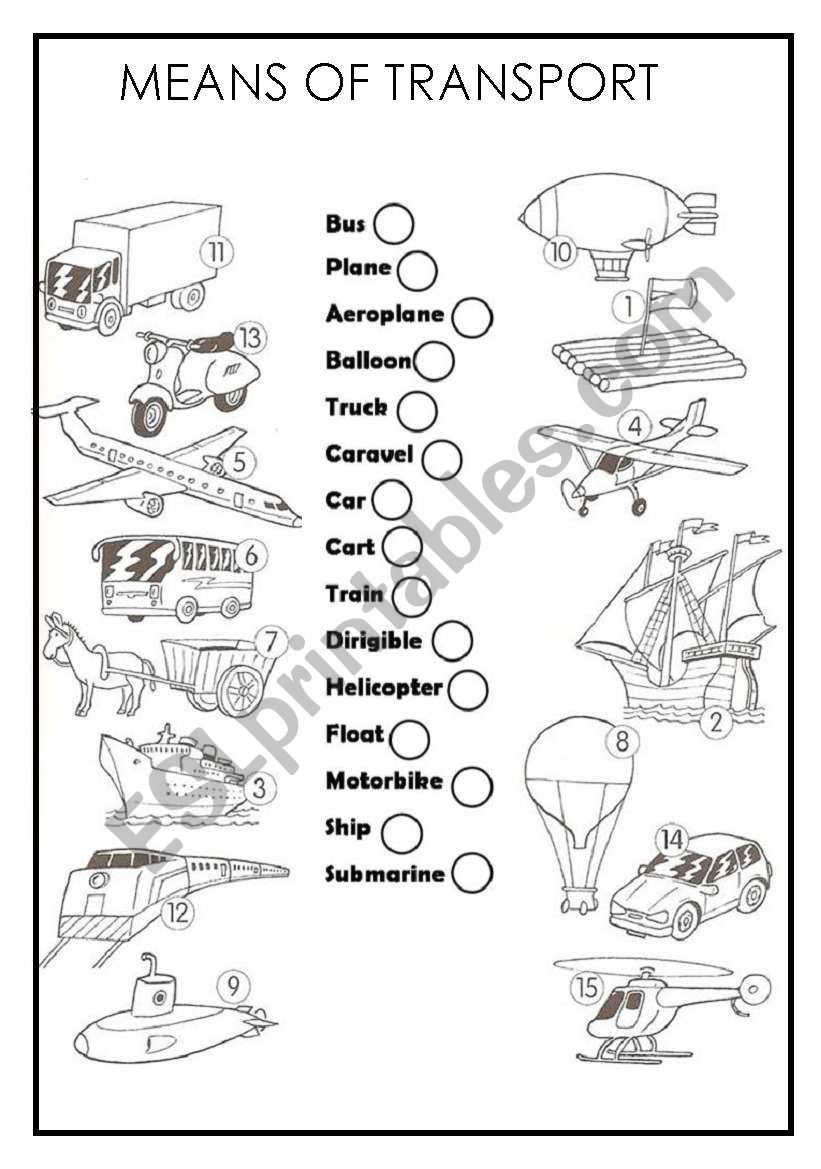 TRANPORTS WORKSHEET worksheet