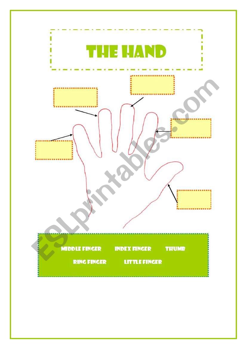 The hand worksheet