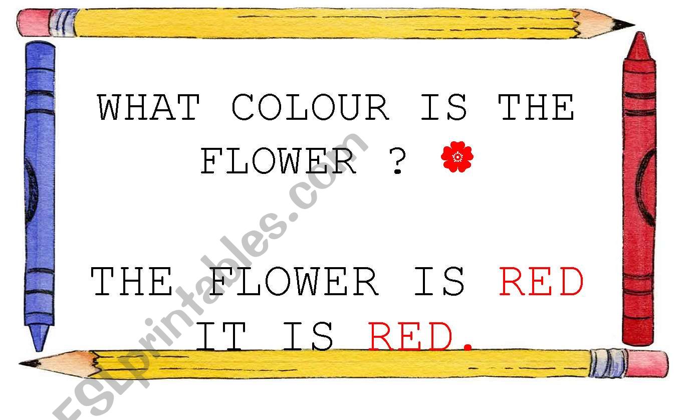 WHAT COLOUR IS THE FLOWER? SIGN 