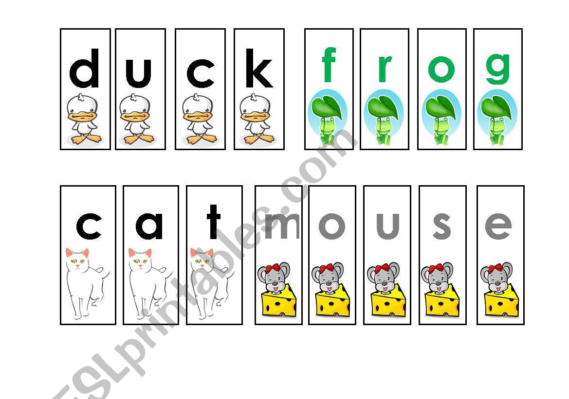 Word Order (2) Animals worksheet