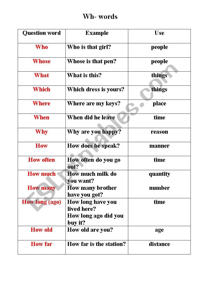 Wh  words worksheet