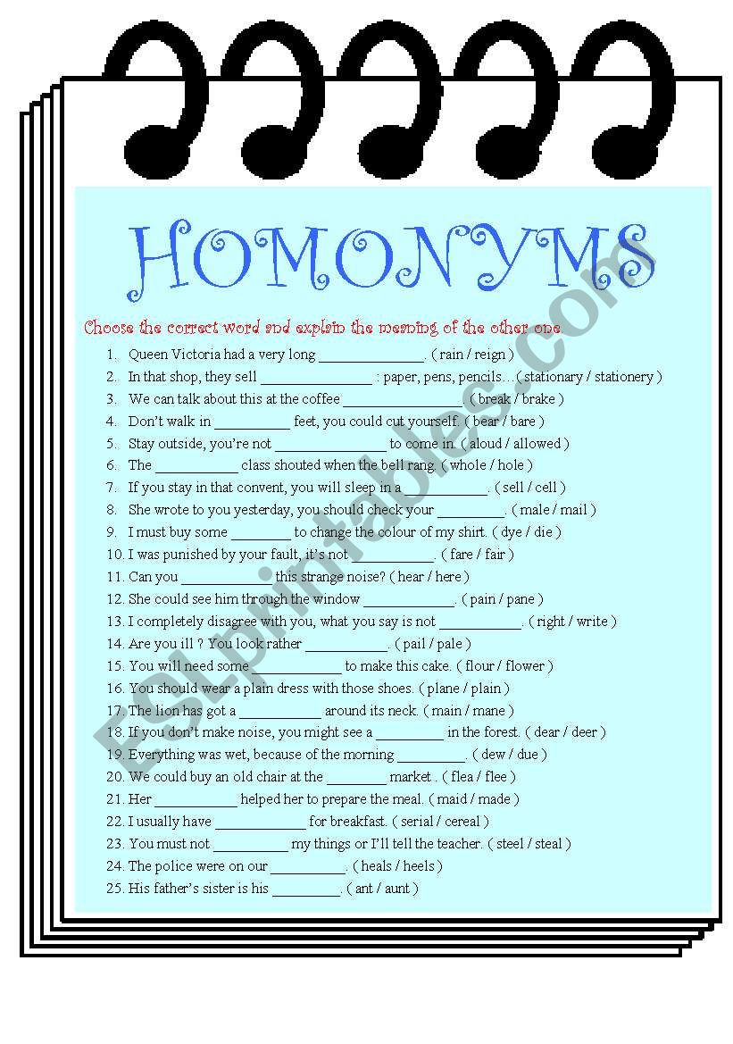 25  HOMONYMS worksheet