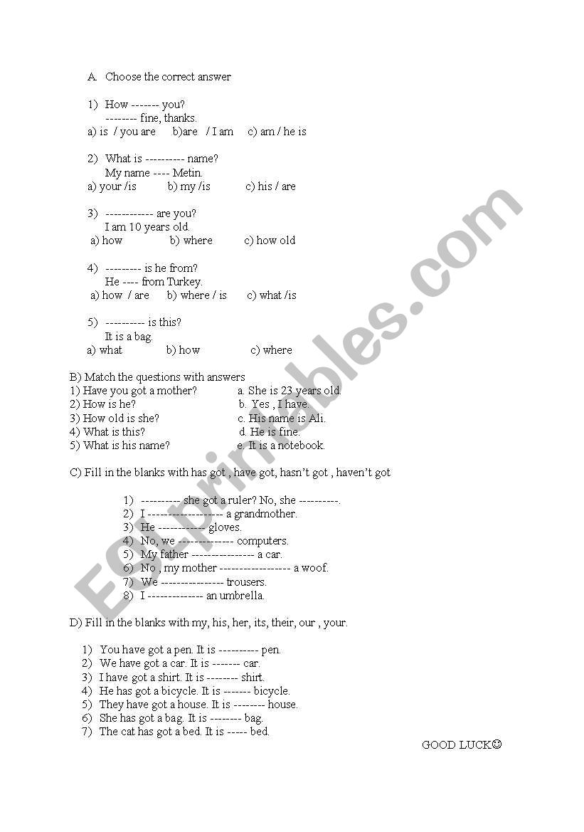 quantifiers worksheet