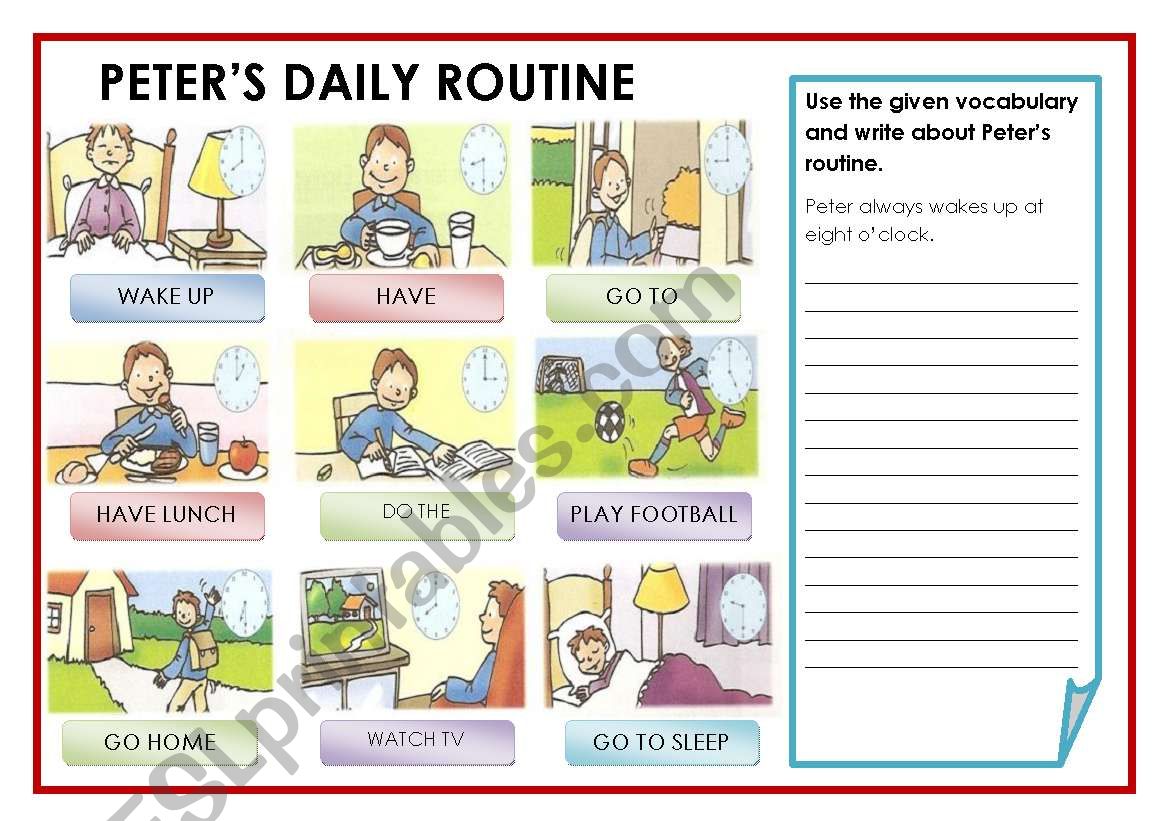 PETER´S DAILY ROUTINE - ESL worksheet by evelinamaria