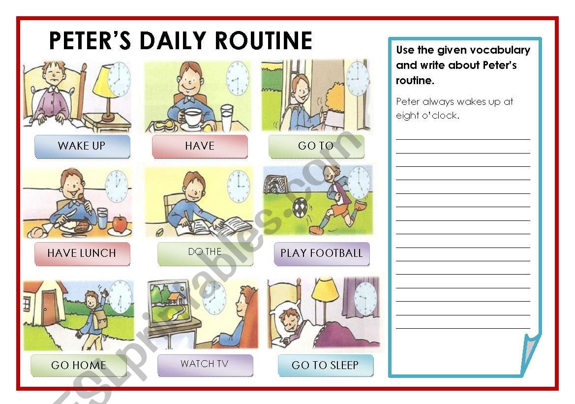 PETERS DAILY ROUTINE worksheet