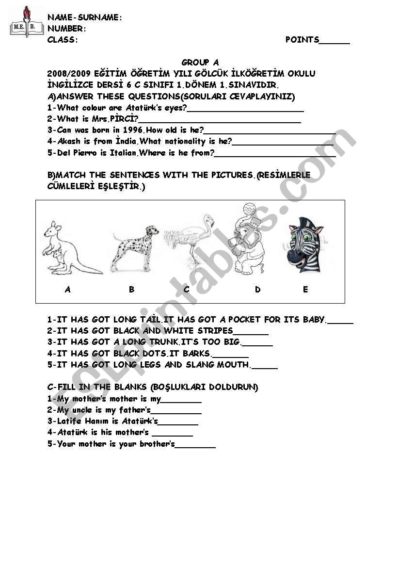 WORKSHEET FOR 6TH CLASSES worksheet