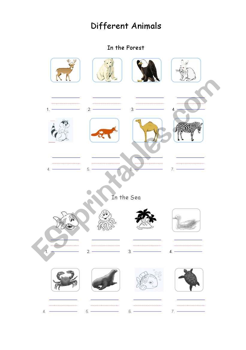 Different animals worksheet