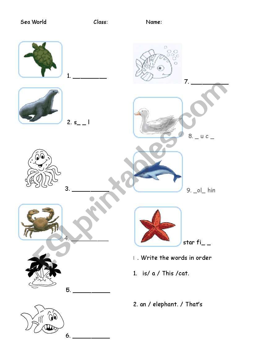 Sea animals worksheet