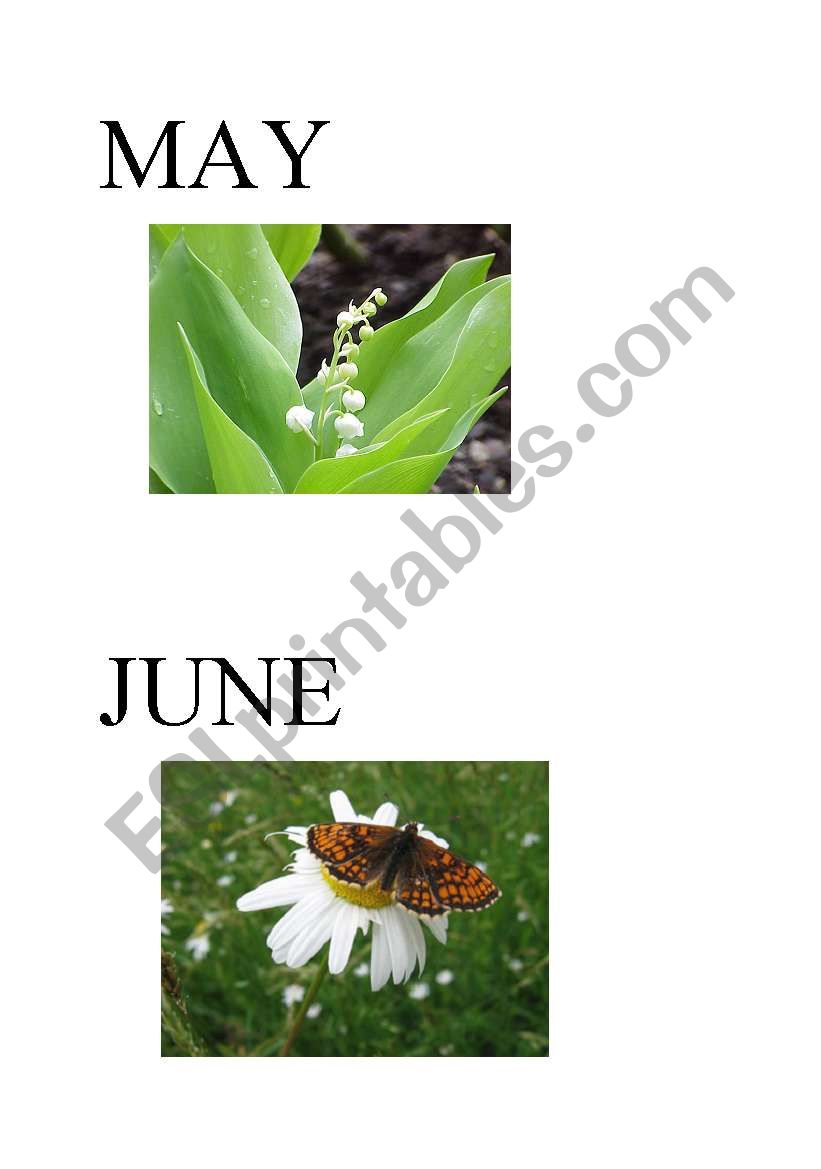 Months of the year - May, June